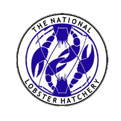 National-Lobster-Hatchery