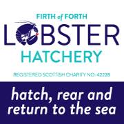 berwicklobesterhatchery