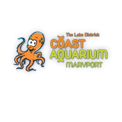 maryport-marine-aquarium