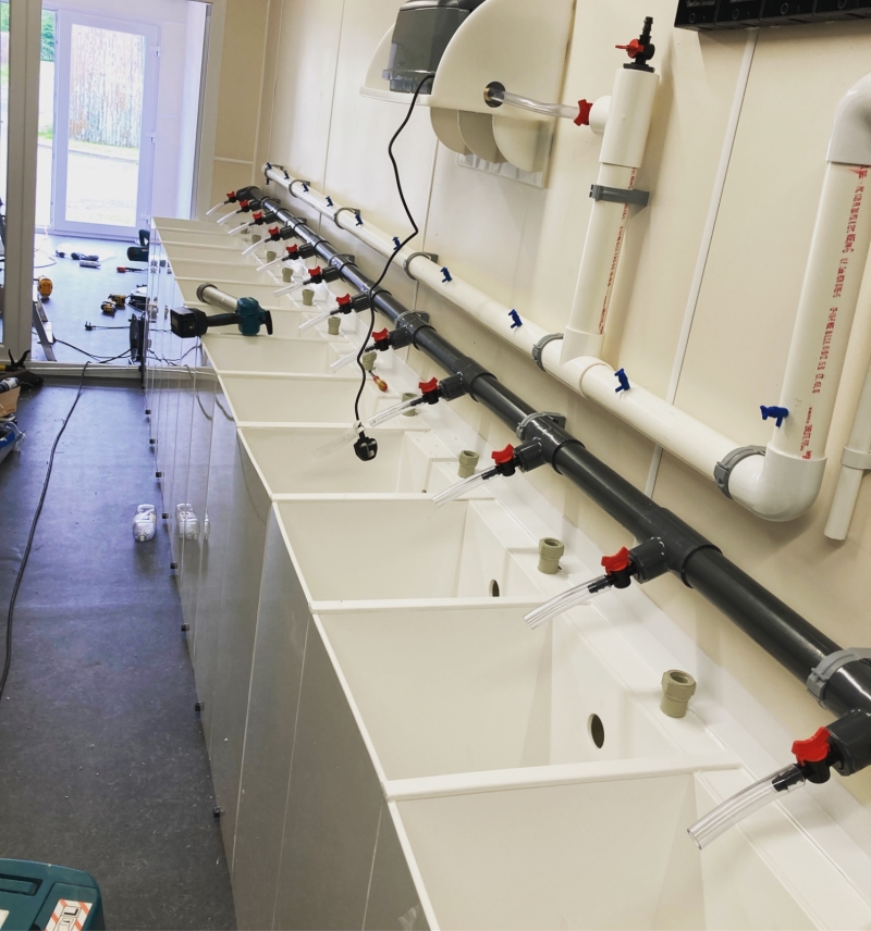 The new lobster incubator.