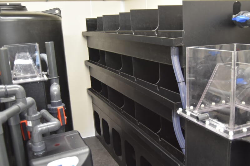 The Hen holding and larval collection system