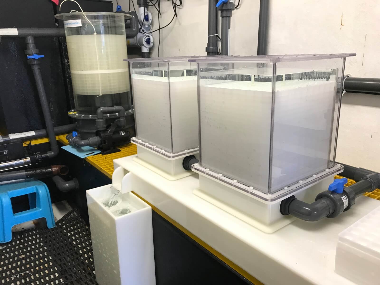 The Old Larval Incubators